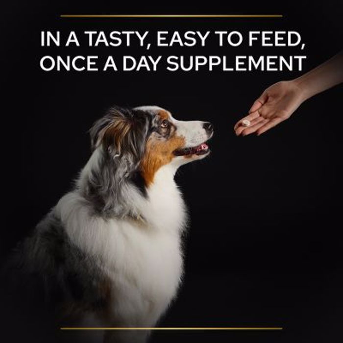 PRO PLAN Συμπλήρωμα Διατροφής Dog Adult Multivitamin Supplement 90Δισκία PRO PLAN Sumpliroma Diatrofis Dog Adult Multivitamin Supplement 90Diskia